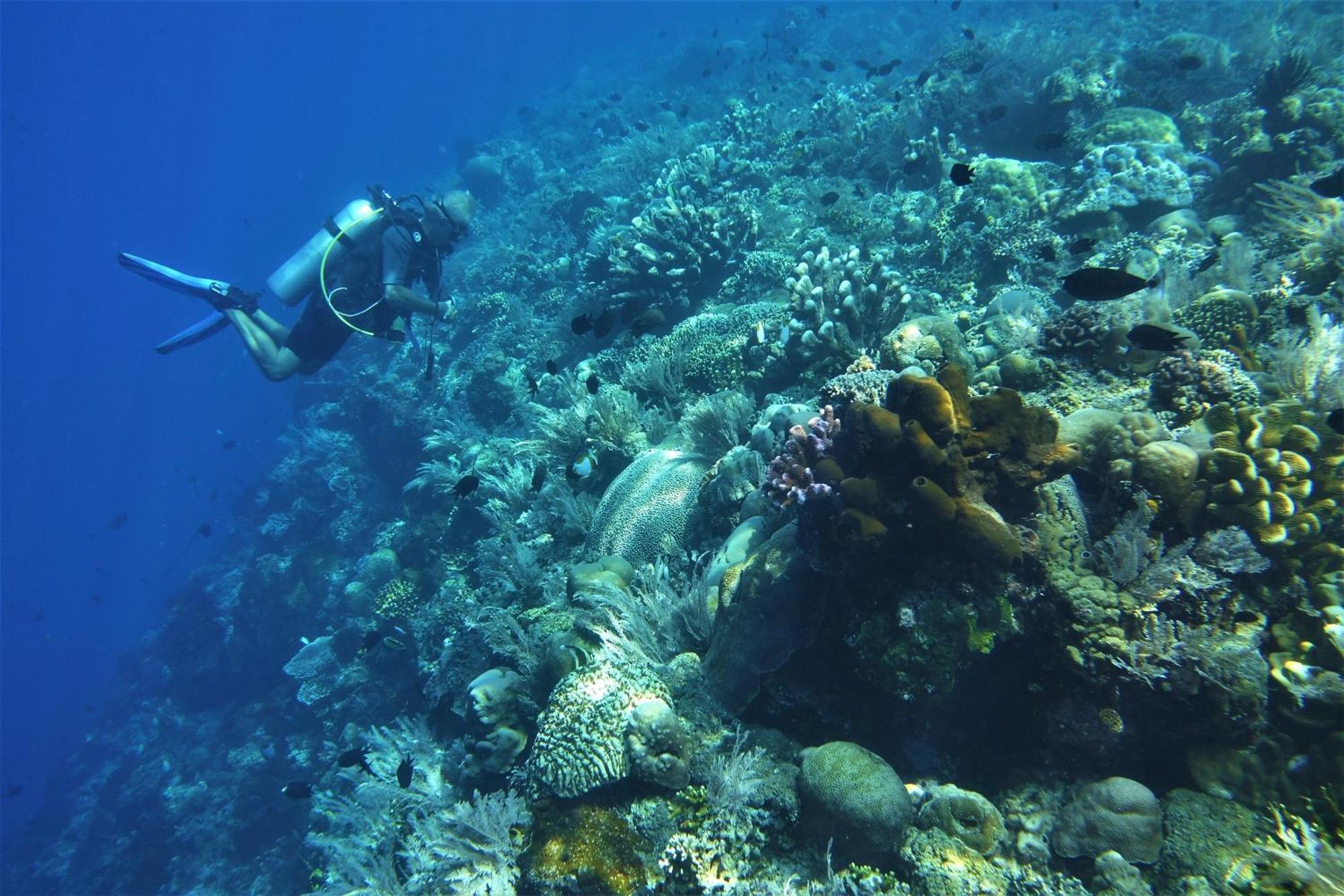Bunaken Sea Garden Resort Экстерьер фото